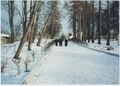 Палац Лянцкоронських у Роздолі (1998).jpg