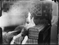 Молодий пес на дивані у Ходорові (1930).jpg