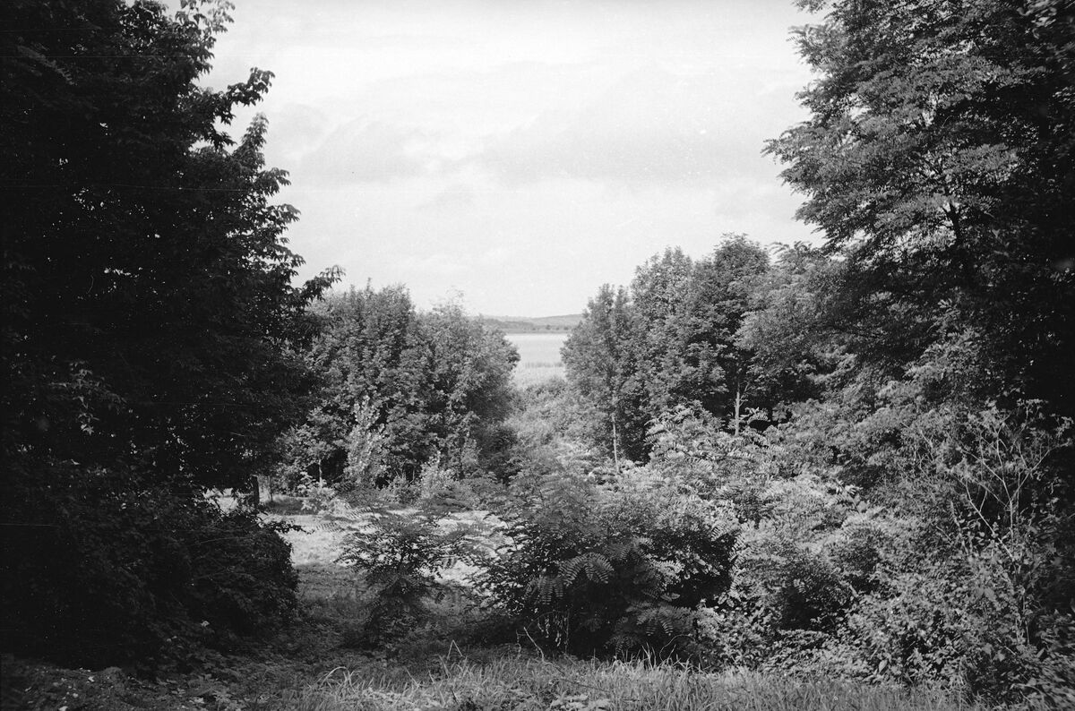 Вигляд на Отиневицький став (1938) (2)