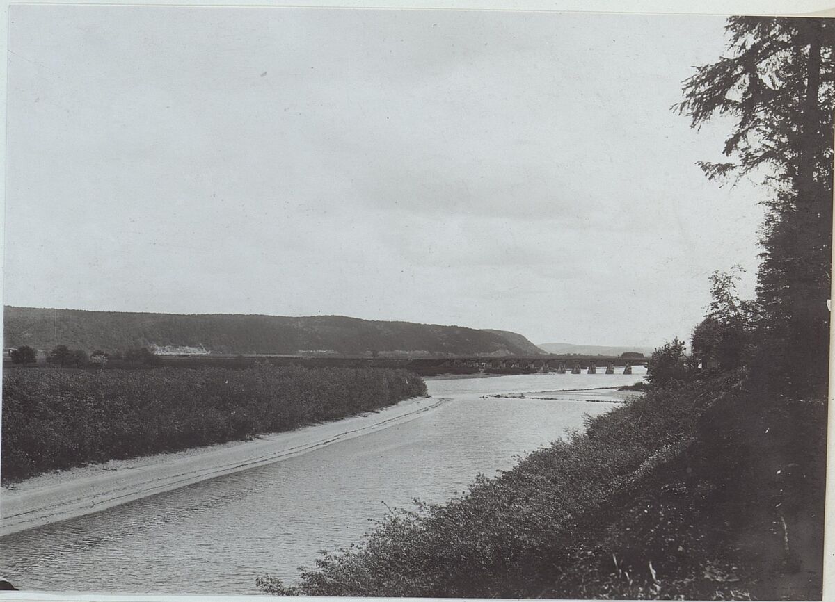 Вигляд із палацового саду на Бакоцино та Дністер (1916)