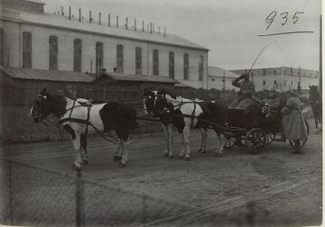 Візит Вільгельма II до Ходорова
