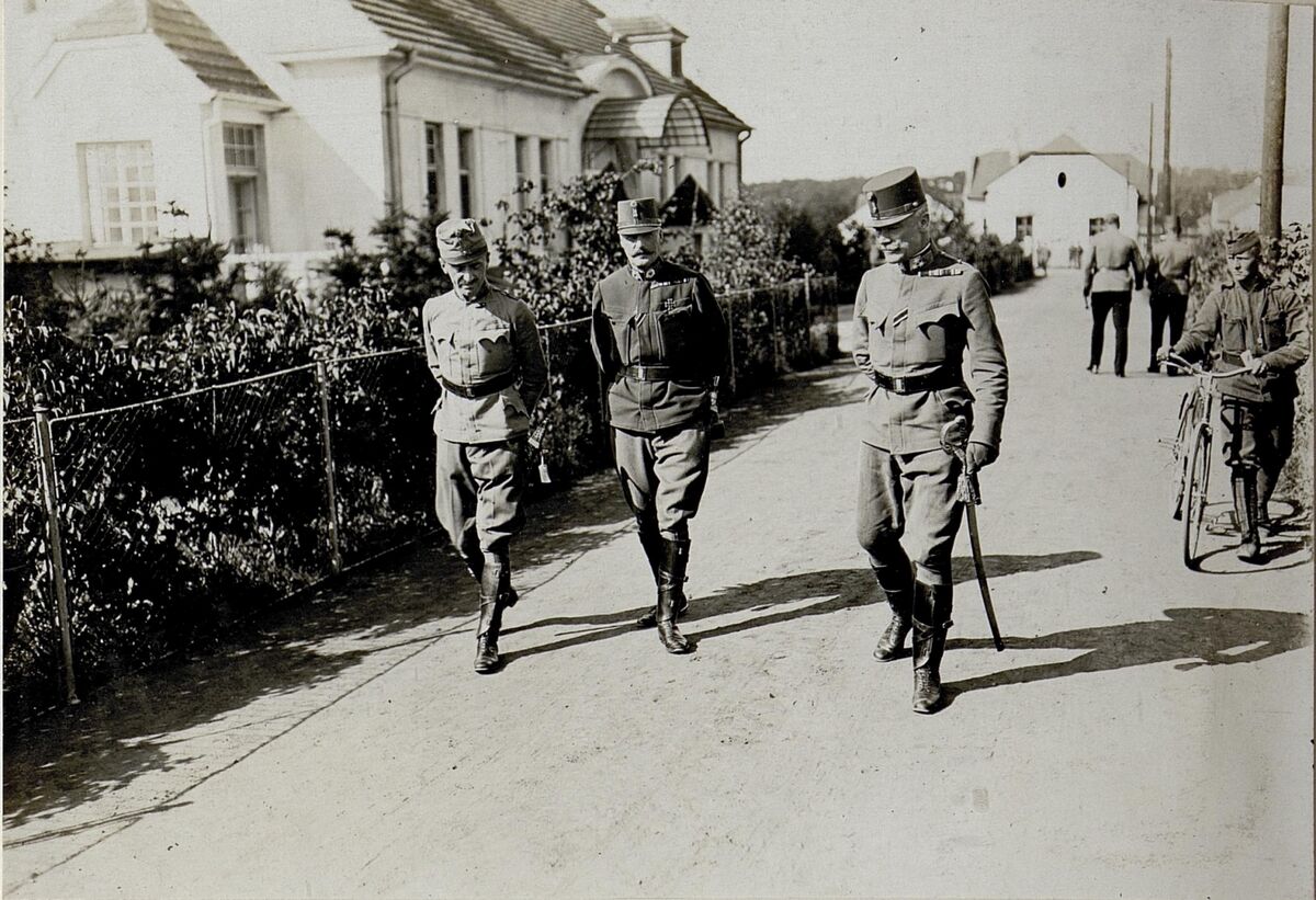 Візит ерцгерцога Леопольда Сальватора до Ходорова (1916) (2)