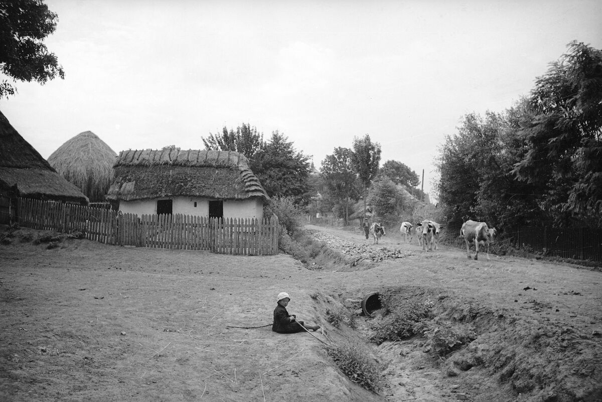 В селі Отиневичі (1938)