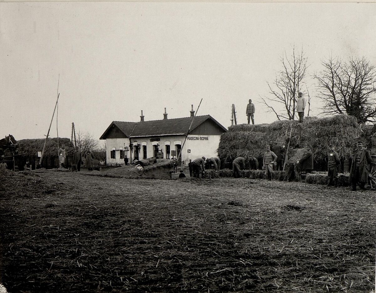 Завантаження сіна на залізничній станції в Пісочній (1917)