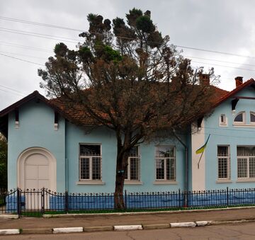 Кипарис в Жидачеві