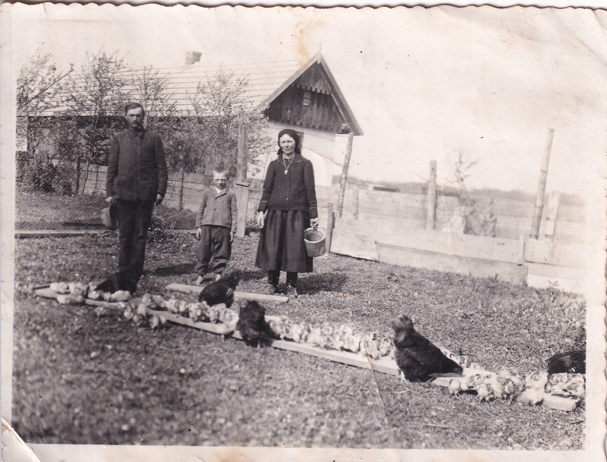 Колгоспна птахоферма в Бережниці (1940)