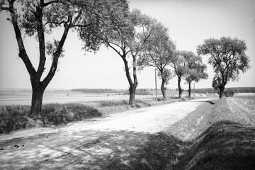 На околицях Дроговижа (1938) (2)