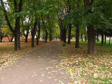 Осінній парк в Жидачеві