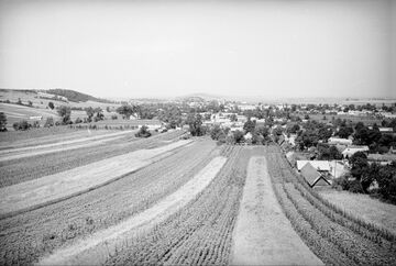Панорама міста Миколаїв (1938) (2)