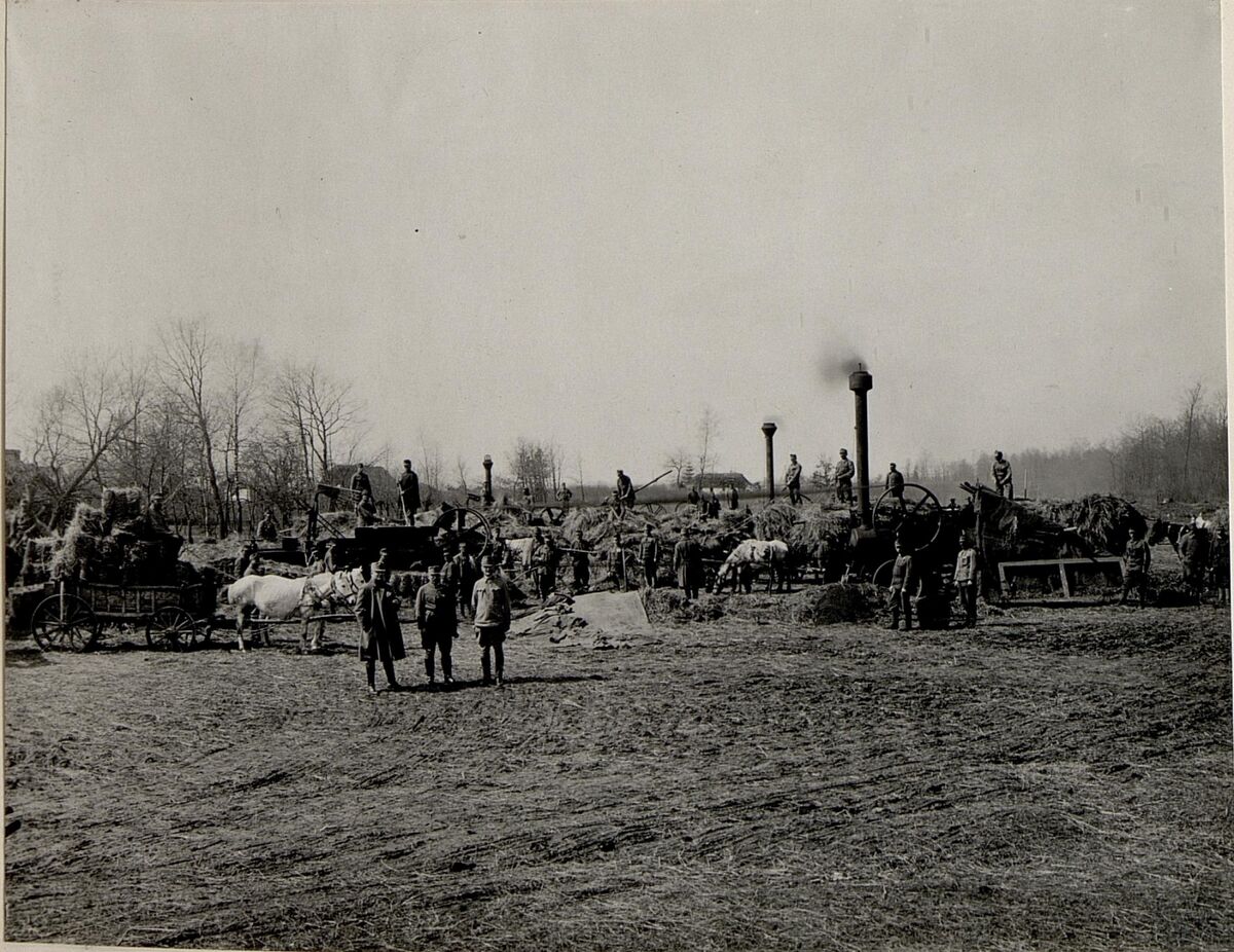 Підготовка сіна в Пісочній (1917) (2)