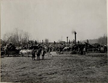 Підготовка сіна в Пісочній (1917) (2)