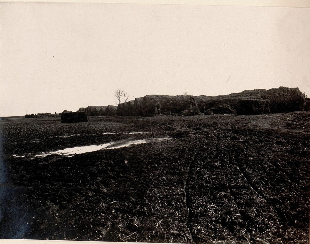 Підготовка сіна в Пісочній (1917) (3)
