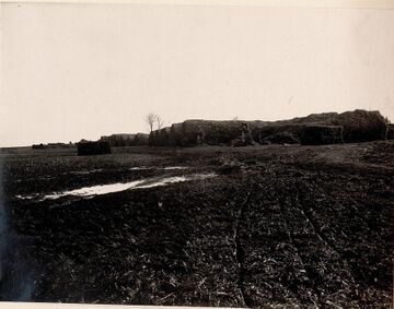 Підготовка сіна в Пісочній (1917) (3)