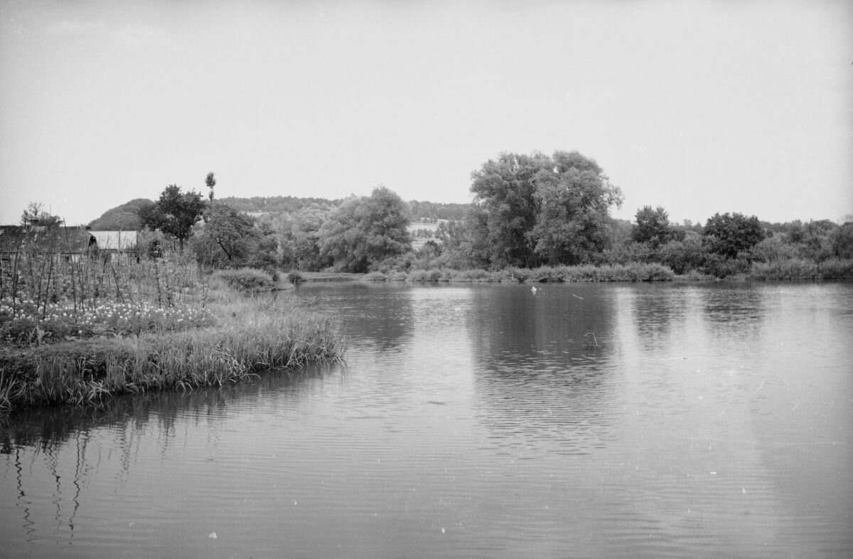 Річка Дністер біля Верина (1938)