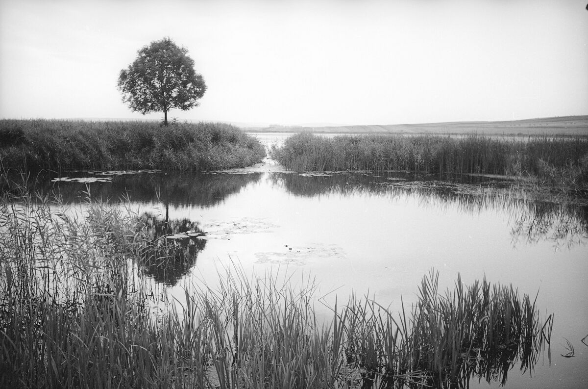 Ходорівський став (1938) (2)