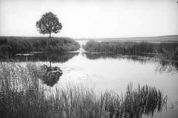 Ходорівський став (1938) (2)