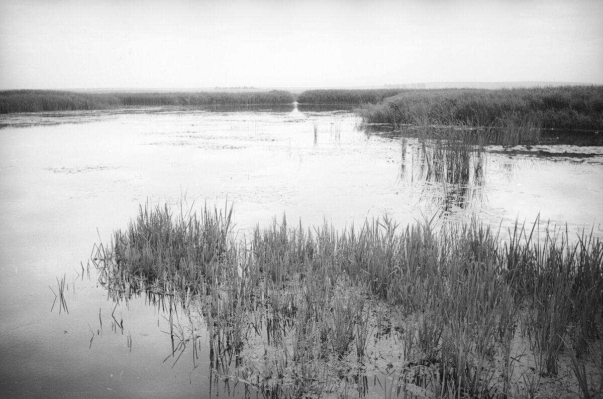 Ходорівський став (1938) (4)